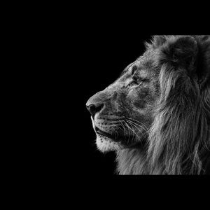 Meet your Posher, Logan